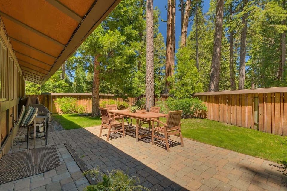 Large, enclosed sunny yard