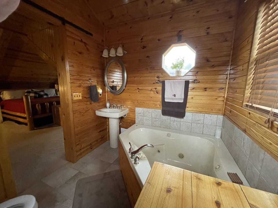 Master bathroom with large jacuzzi tub