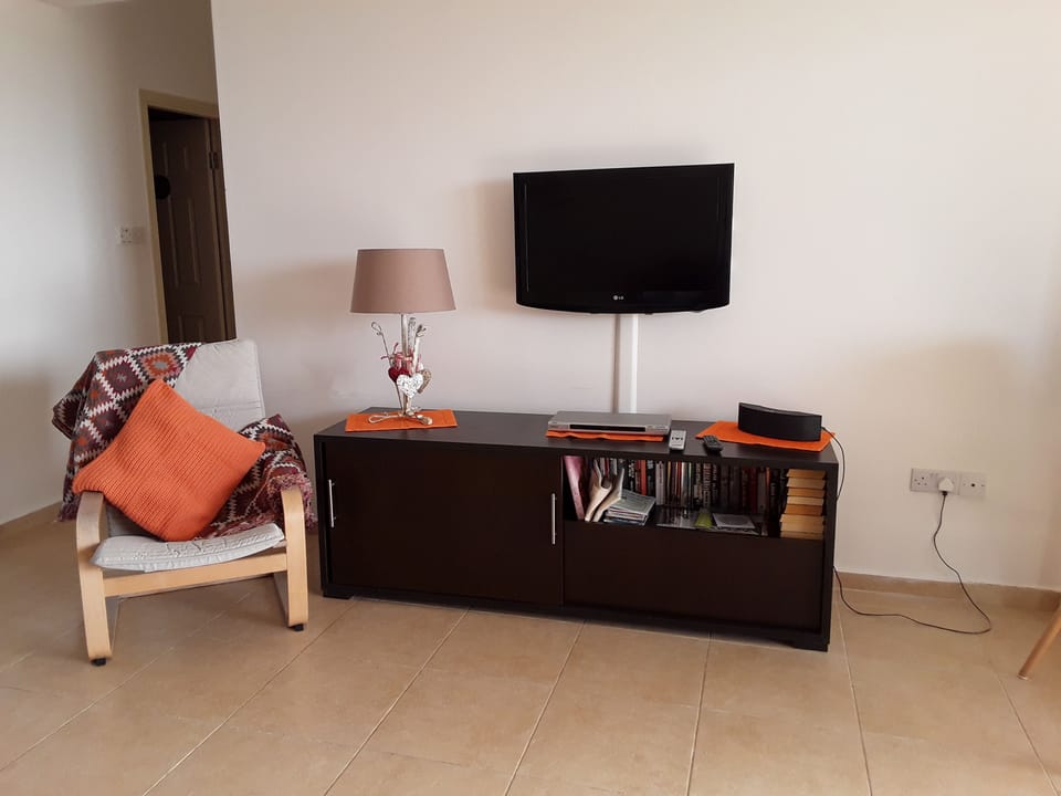 Media Area With LED TV - DVD Player etc.
