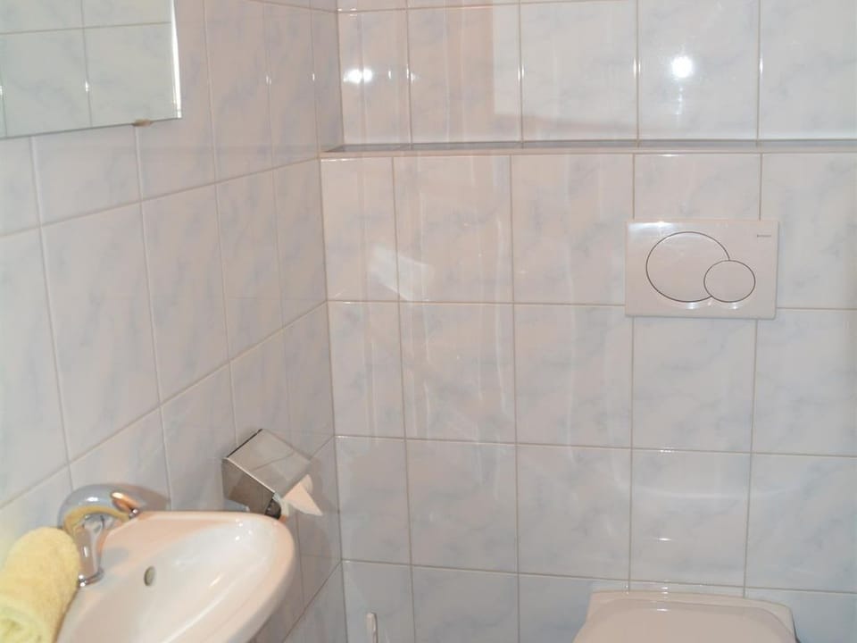 Apartment / 2 bedrooms / shower, toilet - Haus Höring Apartment in Salzburgerland