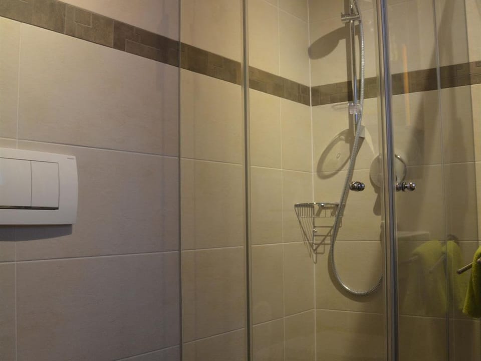 Apartment / 1 bedroom / shower, toilet - Haus Höring Apartment in Salzburgerland