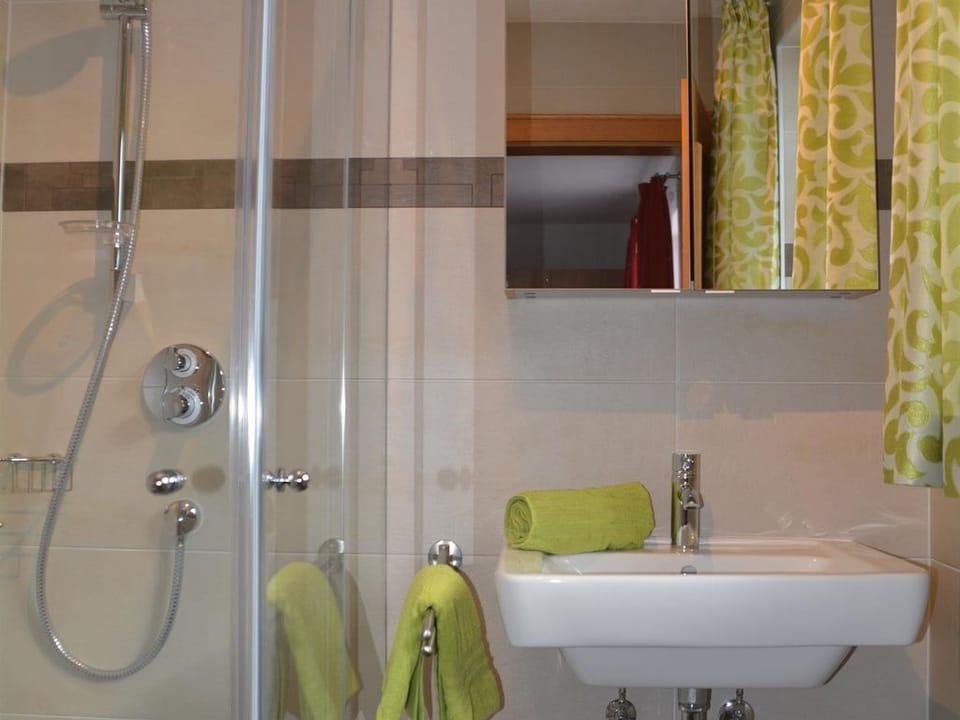 Apartment / 1 bedroom / shower, toilet - Haus Höring Apartment in Salzburgerland