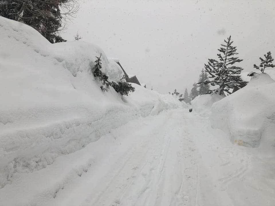 Snow and ski sports