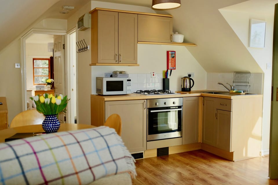Kitchen area