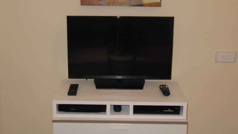 Television