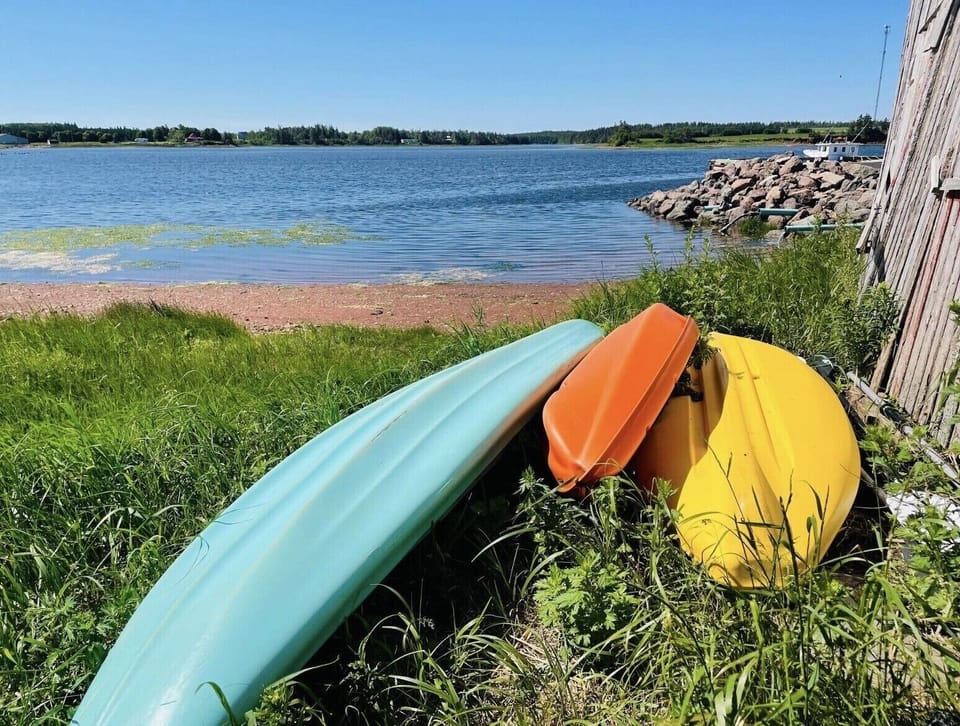 Enjoy the complimentary use of our Kayaks during your stay at Wavie Waters!