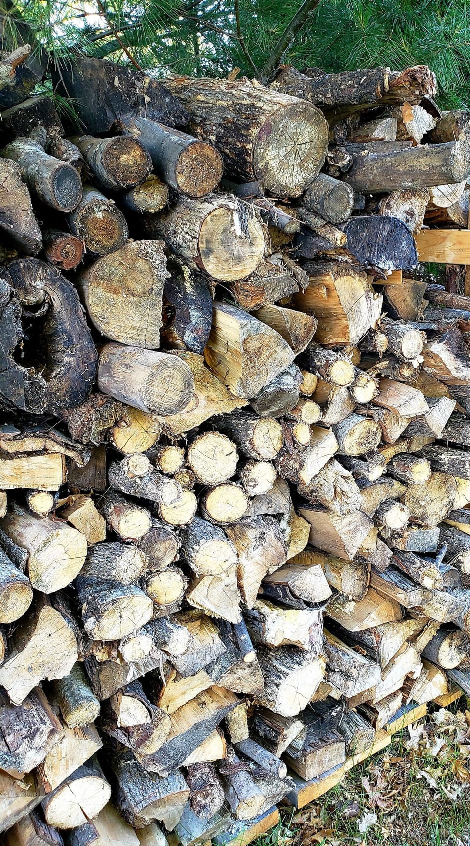 Firewood provided 