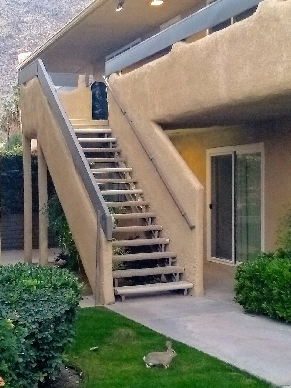 Stairs up to our unit (and a friendly rabbit!)
