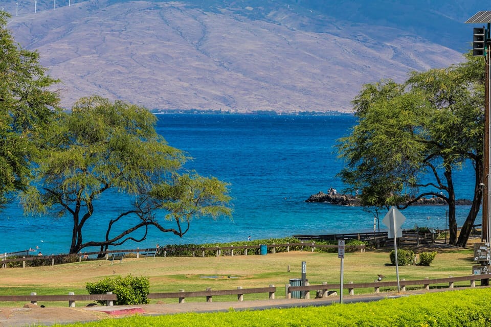 Kamaole Beach Park - Across the street