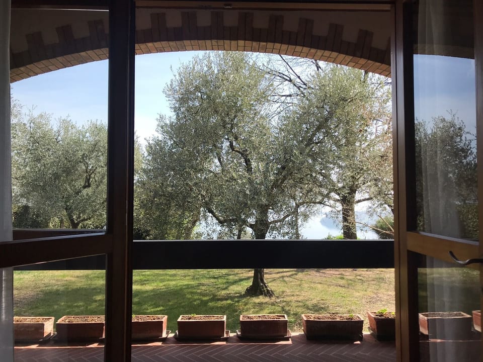 Patio of room 1