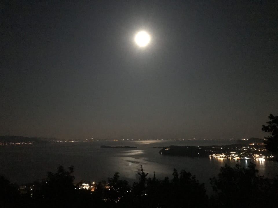 moonlight on the lake