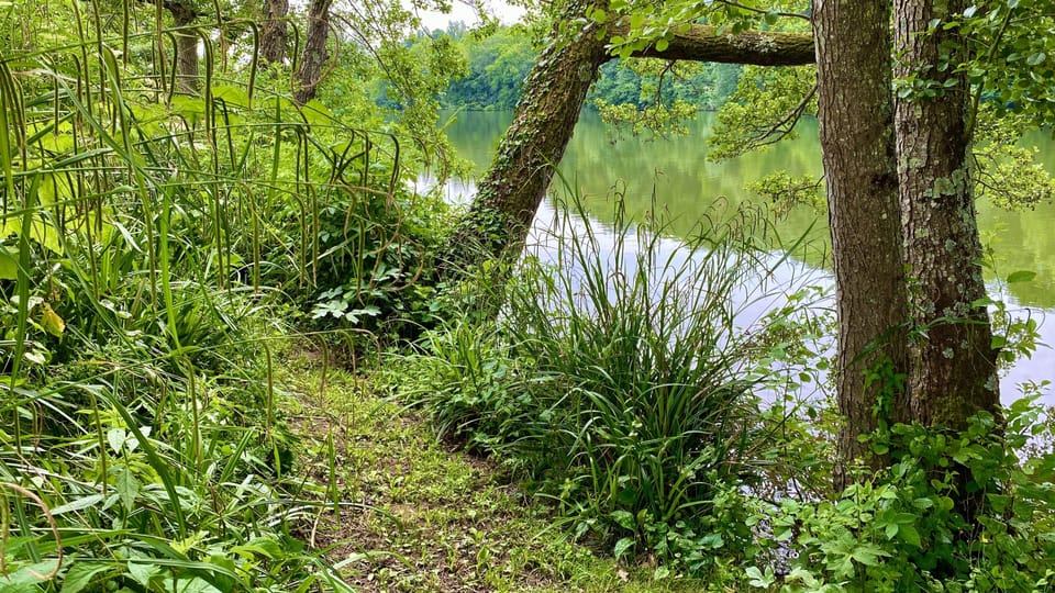 River Walk