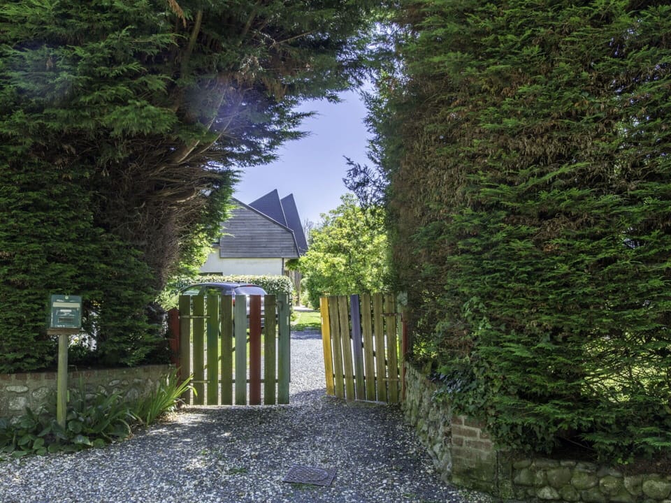 Plant, Sky, Road Surface, Land Lot, Building, Woody Plant, Shade, Grass, Hedge, Shrub
