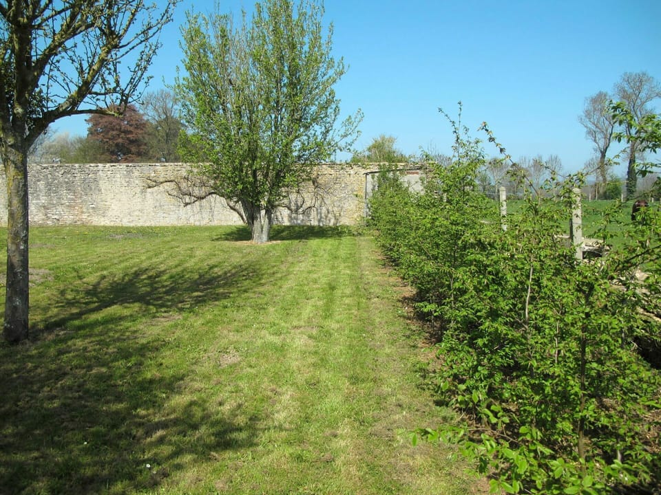 Plant, Sky, Plant Community, Tree, Natural Landscape, Land Lot, Grass, Shrub, Groundcover, Grassland