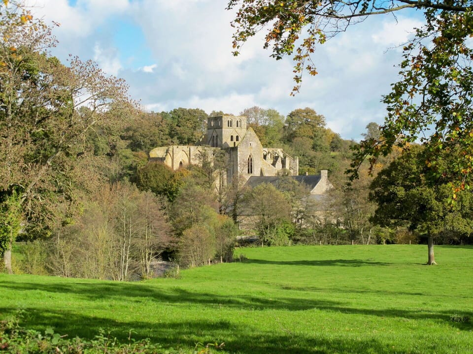 Table, Property, Cabinetry, Building, Dishware, Wood, Countertop, Interior Design, Tableware, Kitchen Appliance