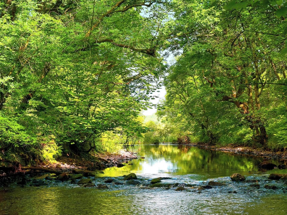Galloway Forest Park