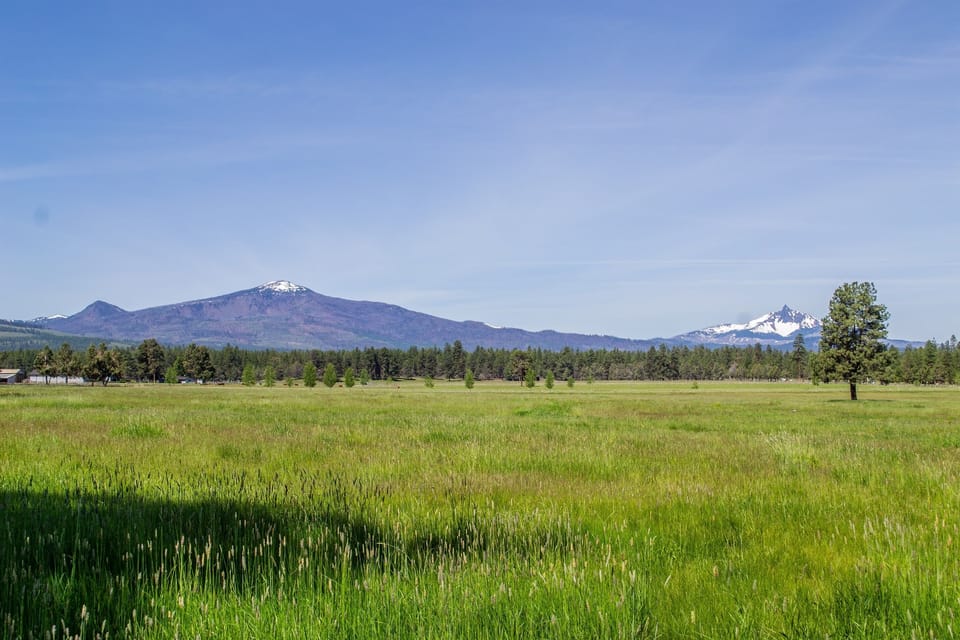 View behind units this summer