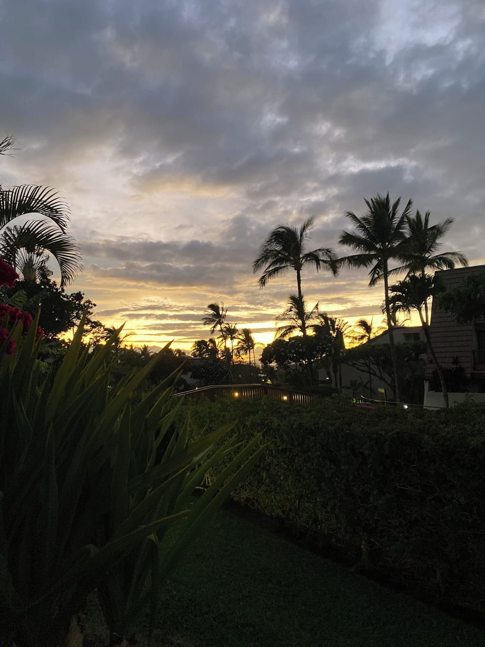 Peek-a-boo sunset view