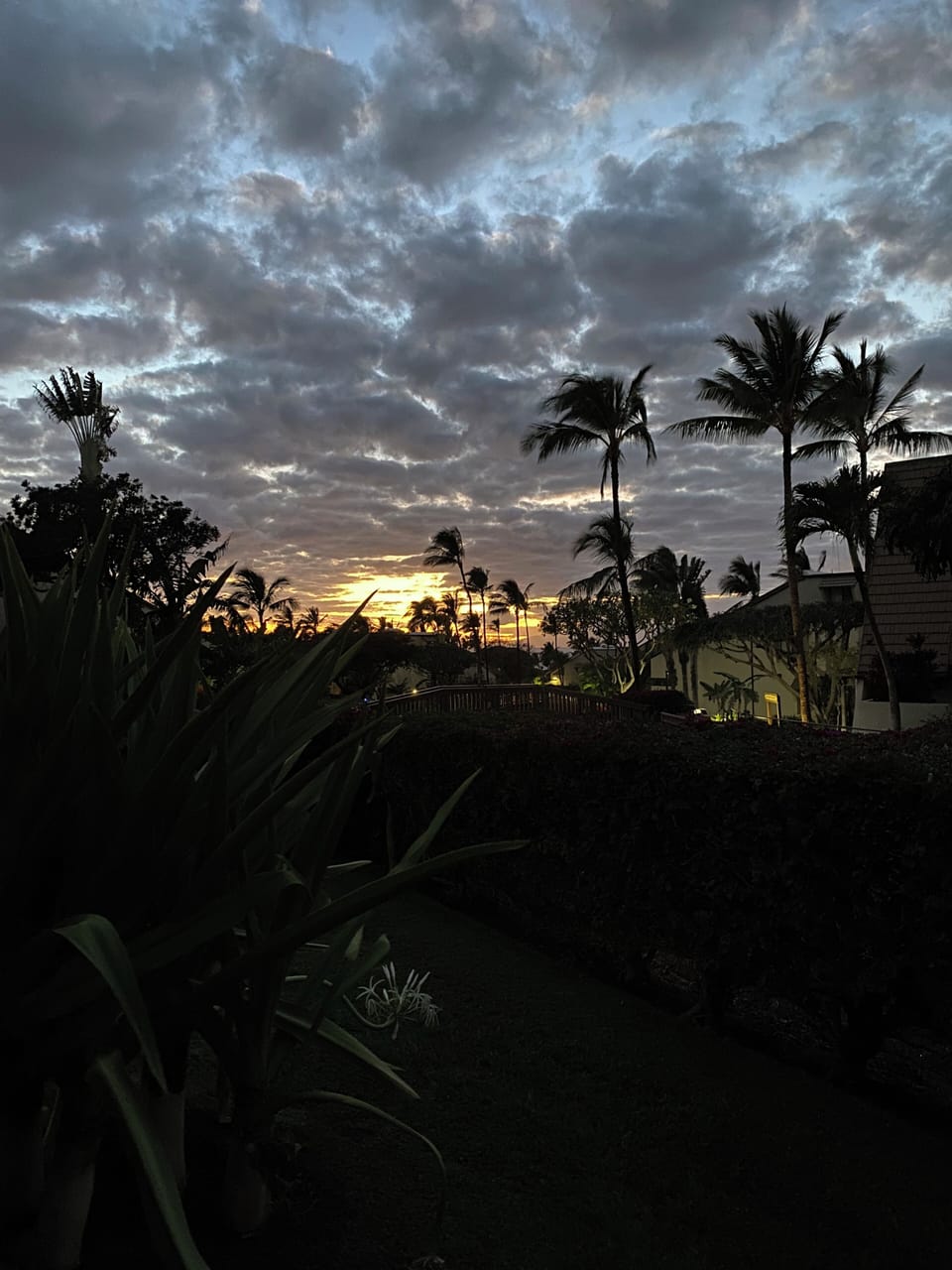 Sunset view