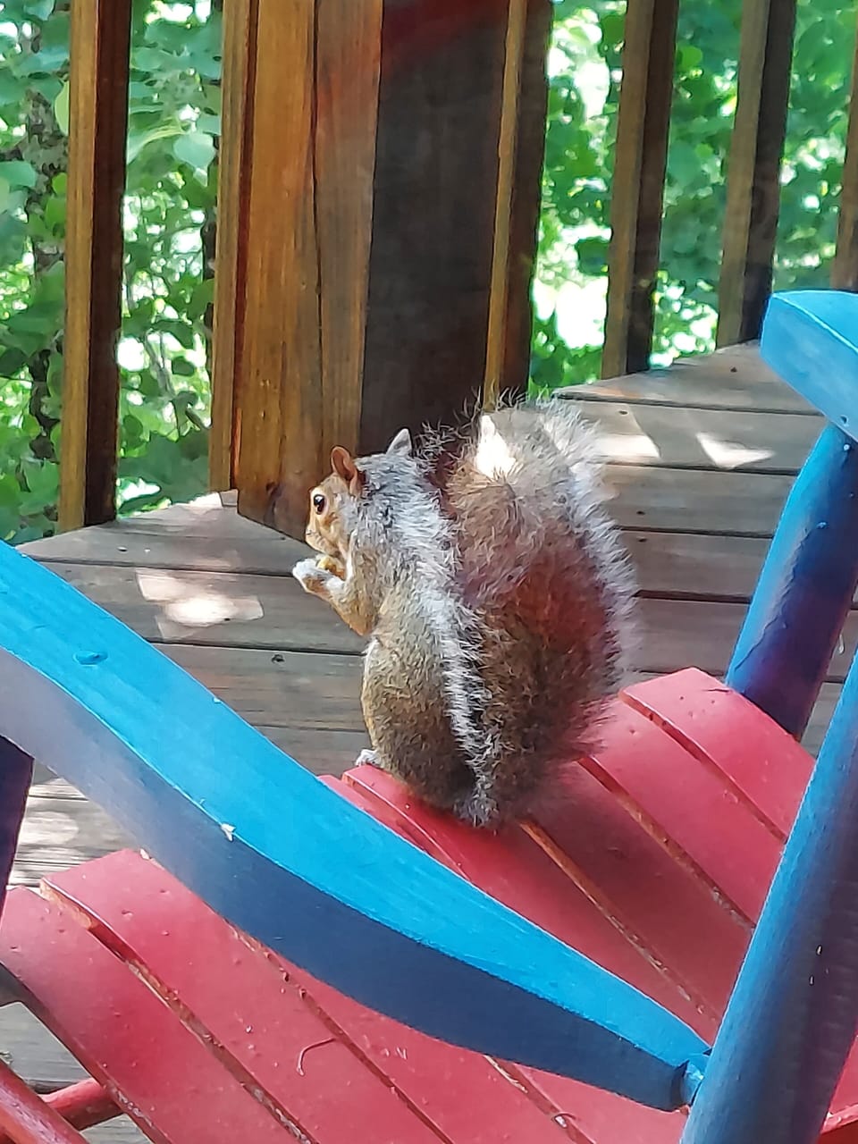 Pete sitting in the rocking chair 