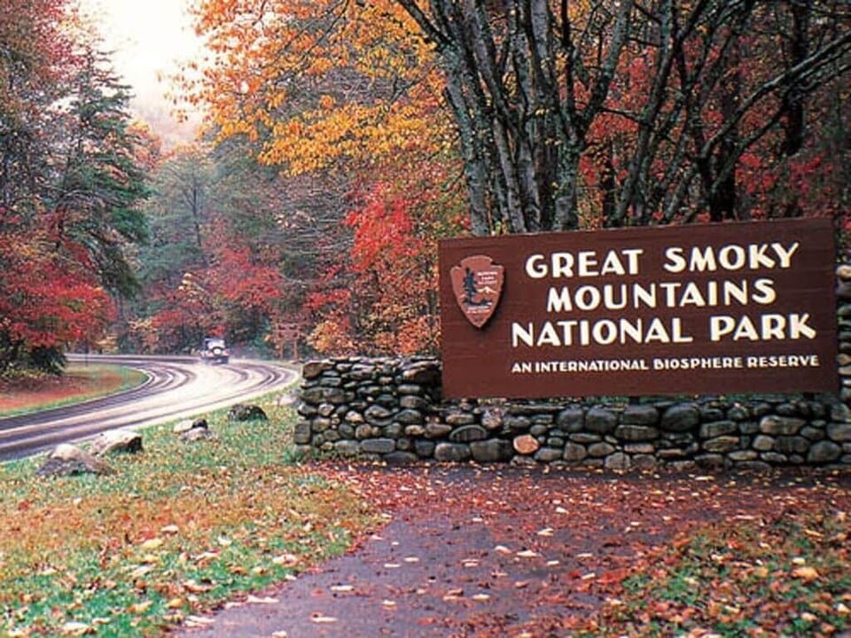 Take in one of the amazing hikes