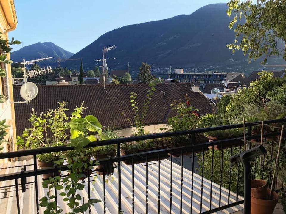 1ddfddad-e2c5-4f3a-907d-8b8fdc583724