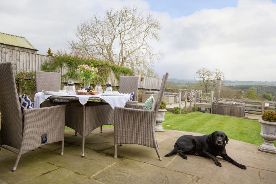 part view of garden - dogs allowed