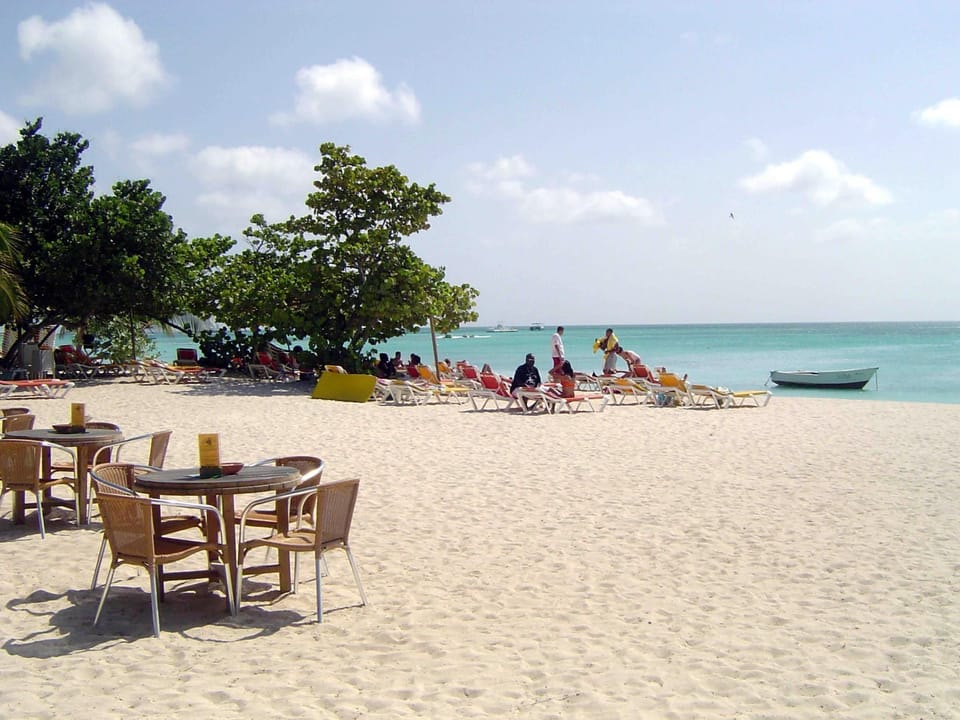 HERE AT MOOMBA BEACH YOU CAN SEEK SHELTER FROM THE SUN UNDER THE FOFOTI TREES.