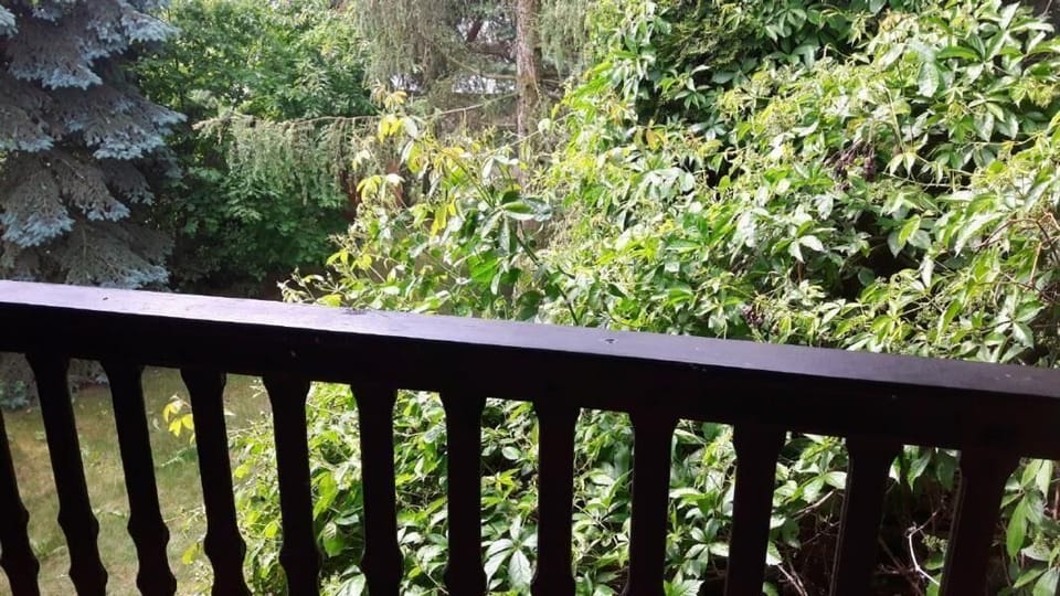 Balcony. The developed shore of the lake at a distance of about 150-200 m from the plot