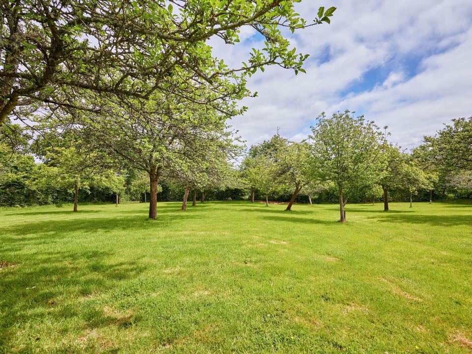 Cloud, Plant, Sky, Natural Landscape, Land Lot, Tree, Grass, Plain, Grassland, Landscape