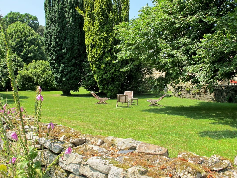 Garden, Grass, Tree, Natural Landscape, Property, Lawn, Wall, Grass Family, Botany, Land Lot