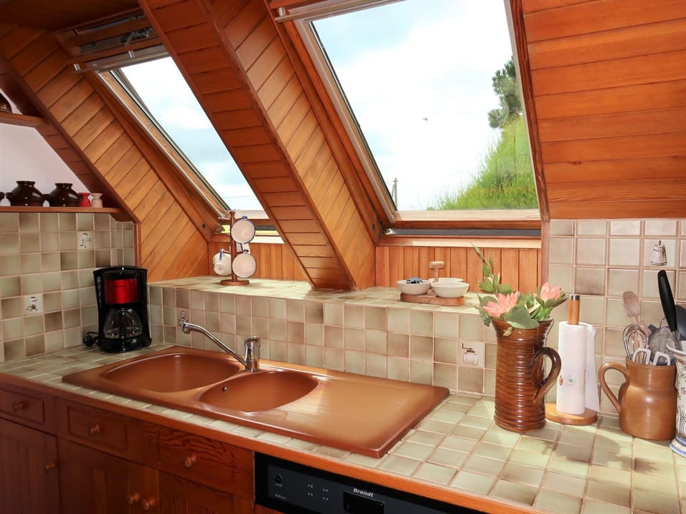 Brown, Countertop, Cabinetry, Kitchen Sink, Sink, Tap, Building, Property, Plant, Plumbing Fixture