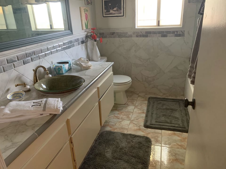 Guest bathroom