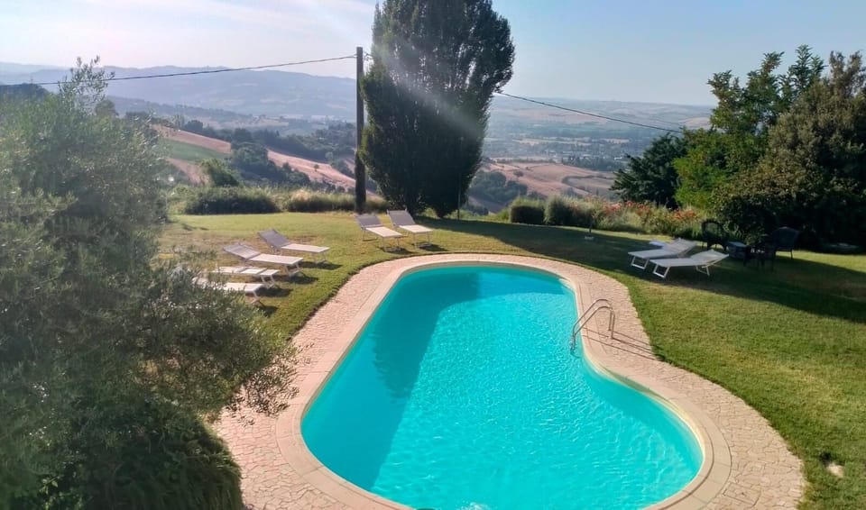 view from the pool