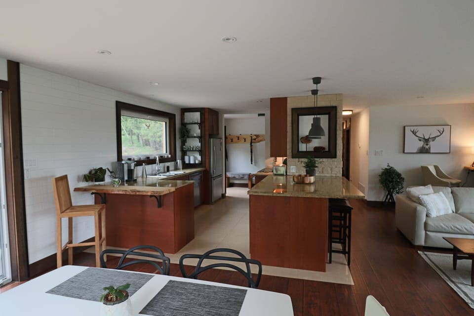 Kitchen /Living room area