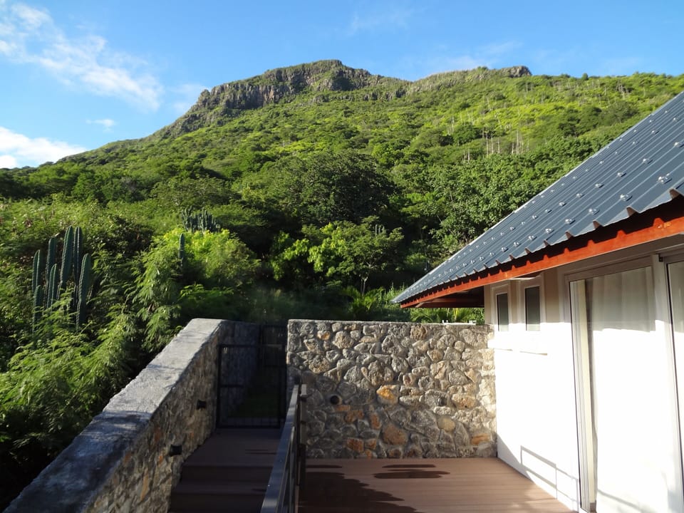 Mountan view