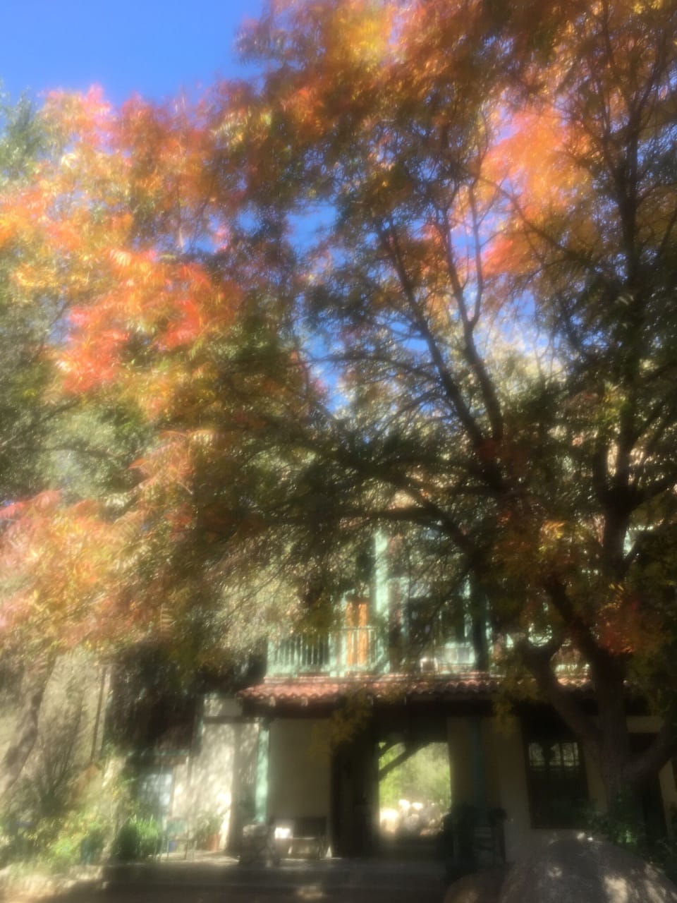 Fall is an amazing time to visit.