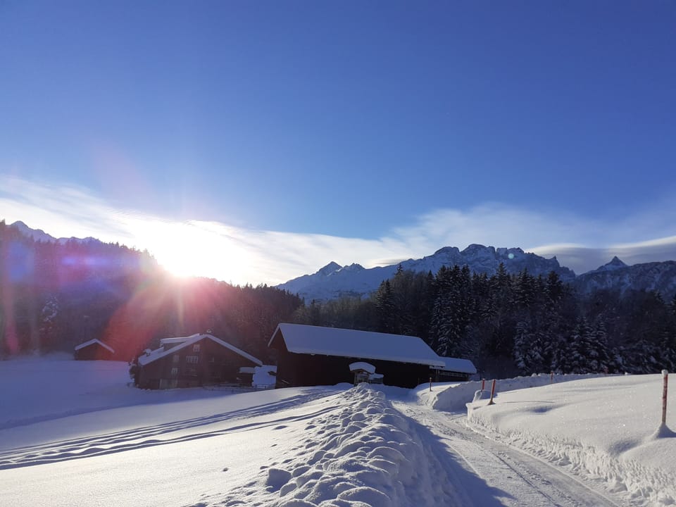 Snow and ski sports