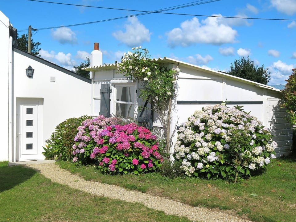 House, Property, Flower, Home, Plant, Cottage, Yard, Real Estate, Garden, Shrub