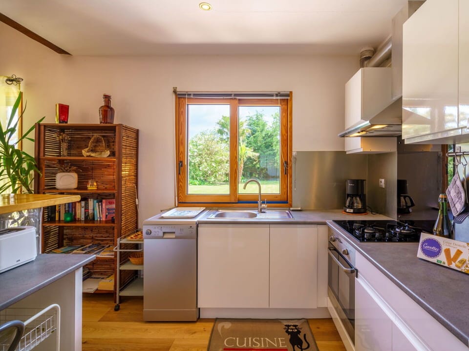 Kitchen Sink, Property, Plant, Cabinetry, Sink, Houseplant, Wood, Countertop, Interior Design, Home Appliance