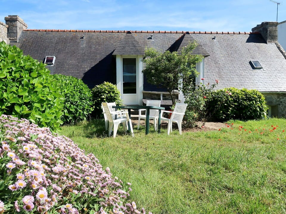 Flower, Plant, Cloud, Sky, Building, Plant Community, Window, Furniture, Chair, Land Lot