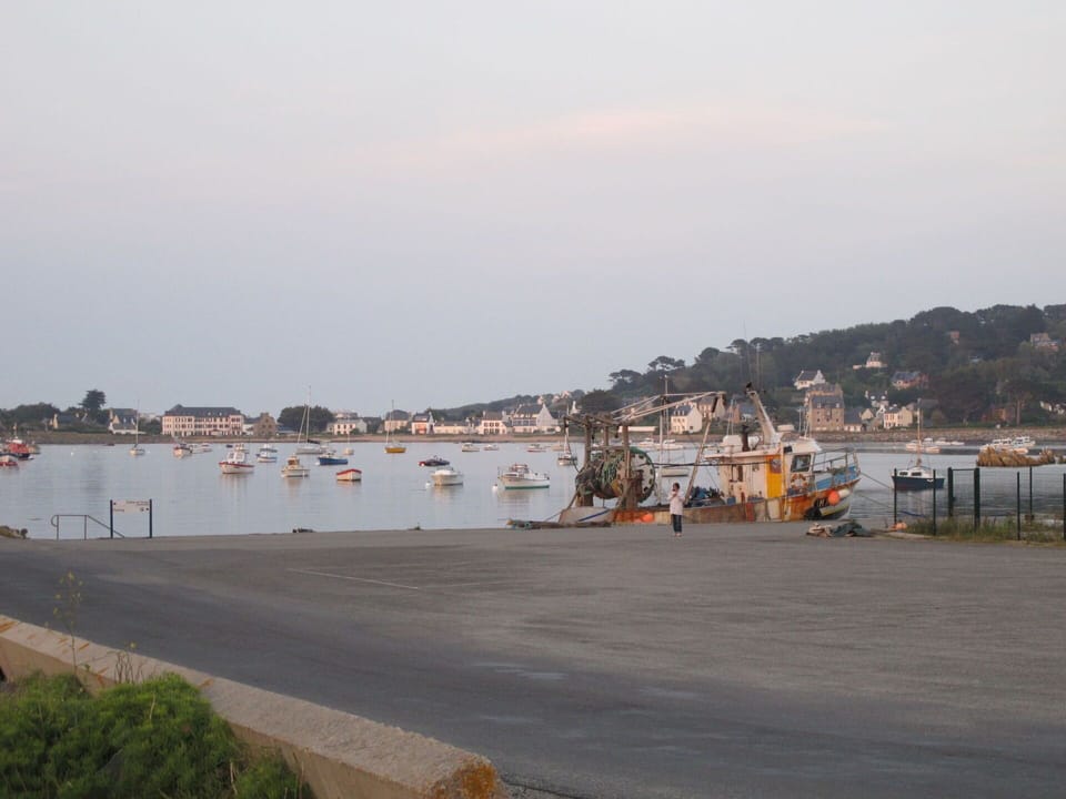 Sky, Building, Plant, Urban Design, Tower Block, Condominium, Real Estate, City, Facade, Commercial Building