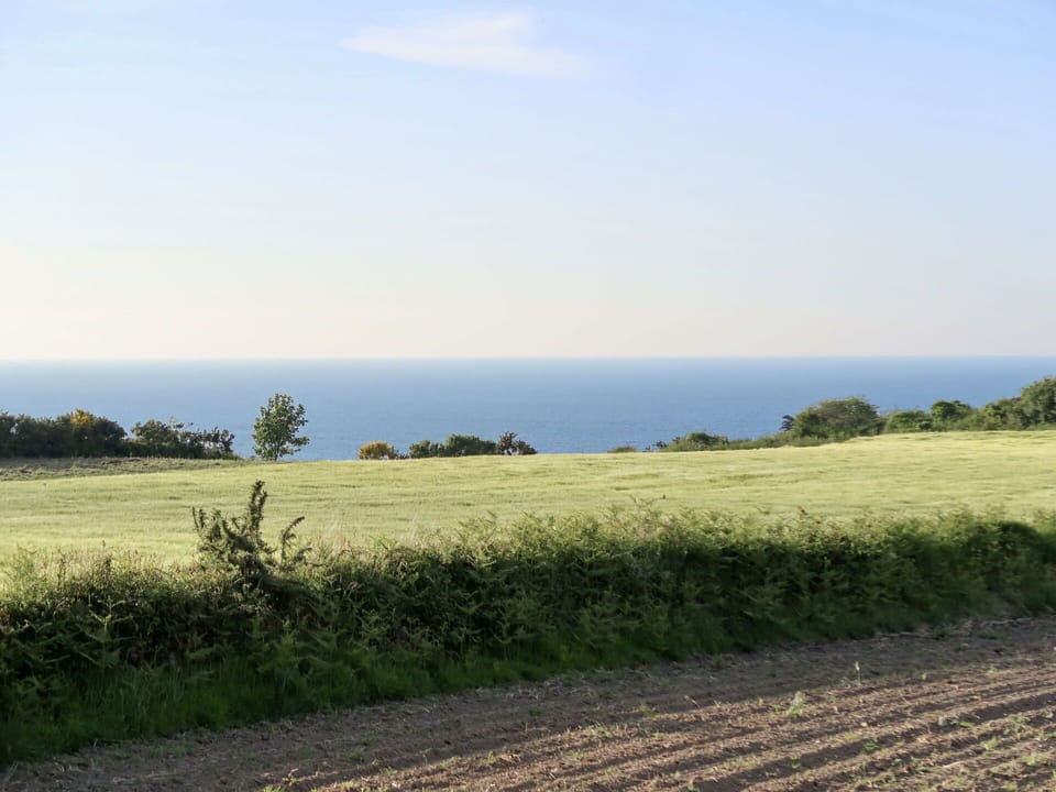 Field, Natural Landscape, Grassland, Sky, Plain, Land Lot, Natural Environment, Grass, Horizon, Prairie