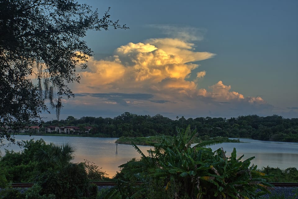 View of nearby Lake from the Safety Harbor Bird House