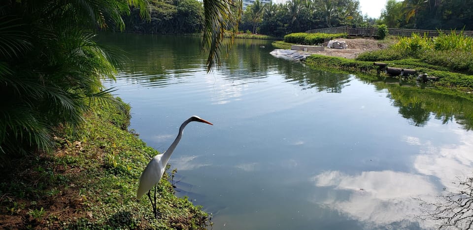 Lake