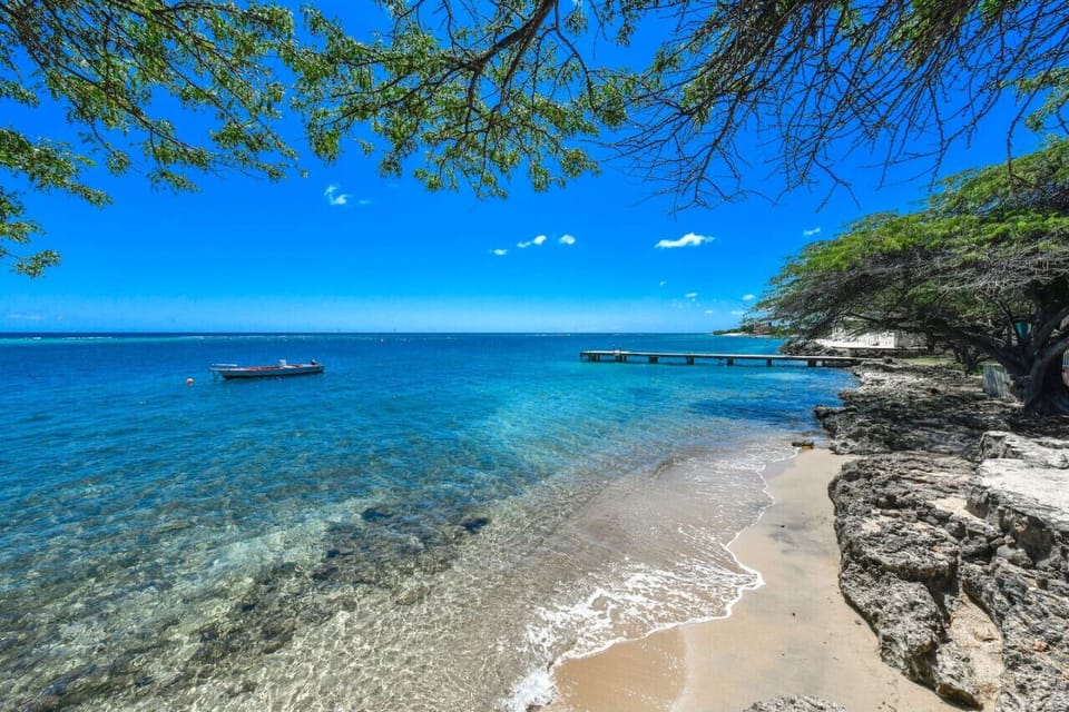 Enjoy swimming and snorkeling right in your backyard.