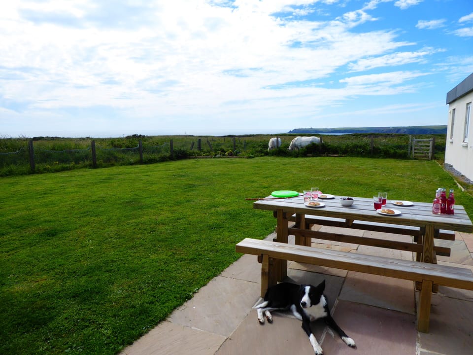 The picnic area has wonderful sea views.
