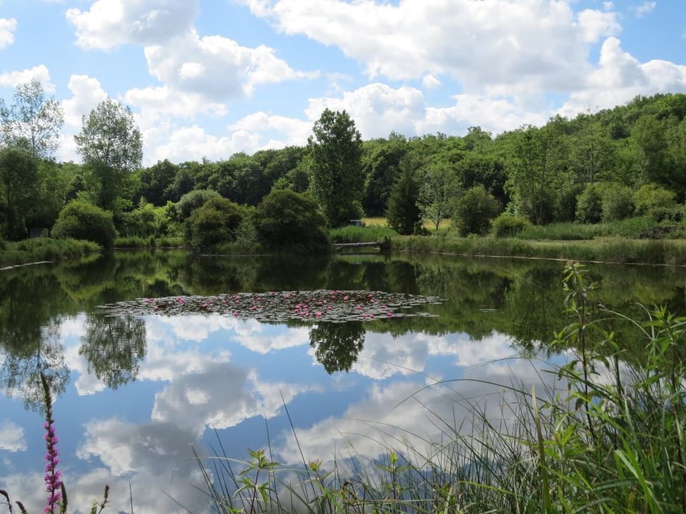 Private fishing lake