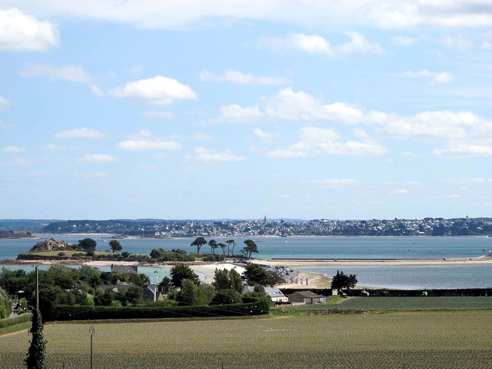 Cloud, Water, Sky, Plant, Water Resources, Azure, Coastal And Oceanic Landforms, Tree, Lake, Beach