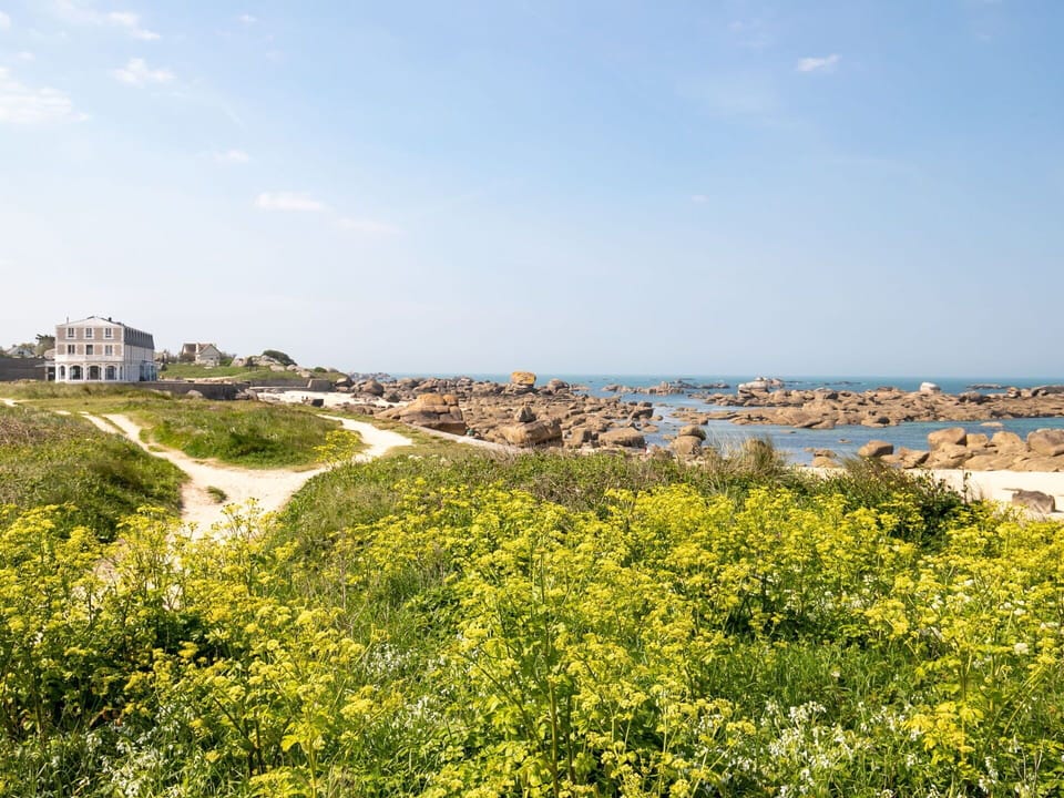 Summer, Coast, Plant Community, Coastal And Oceanic Landforms, Shrubland, Sea, Shore, Wildflower, Meadow, Ocean